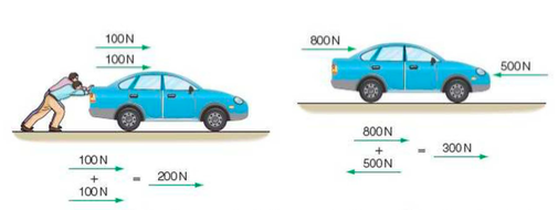 A Comprehensive Introduction to Scalars and Vectors for O-Level Physics Students